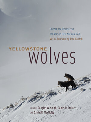 cover image of Yellowstone Wolves